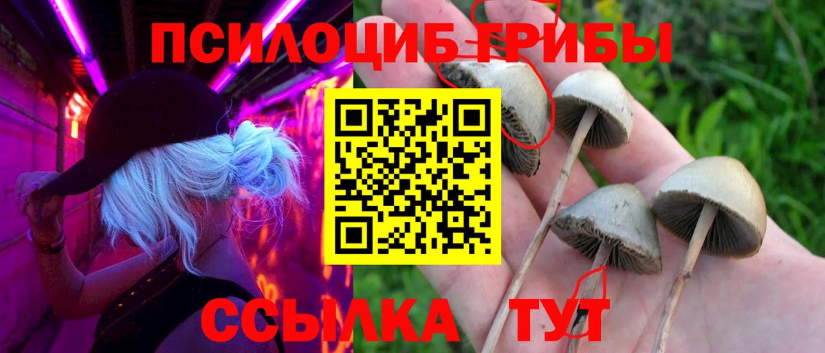 Можга  дарнет шоп  Галлюциногенные грибы Magic Shrooms  Вход с VPN  Псилоцибиновые грибы мухоморы 